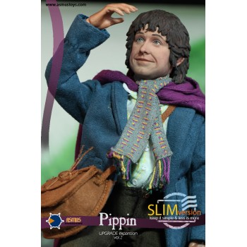 THE LORD OF THE RING PIPPIN SLIM VERSION 1/6 SCALE COLLECTIBLE FIGURE 20 CM